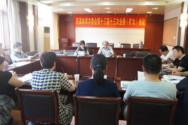 民革蚌埠市委召开第十三届十三次全委（扩大）会议
